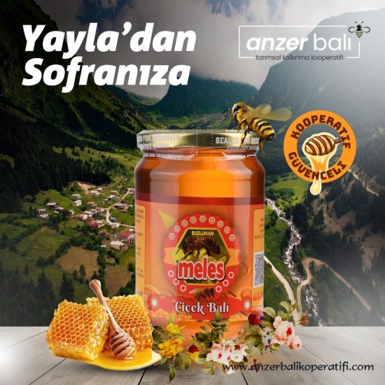 Meles Çiçek Balı 970 GR