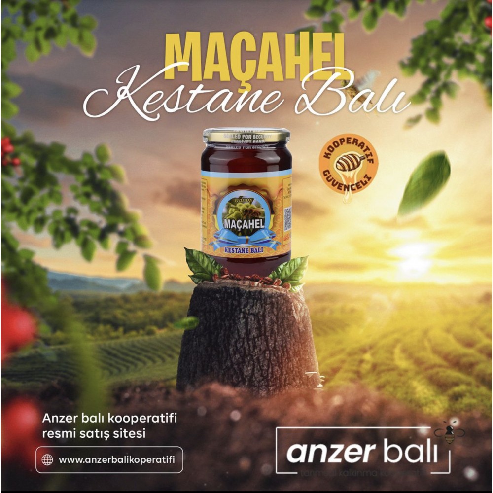 Kestane Balı 500 GR