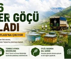 2026 Anzer Göçü Başladı: Arı Kovanları Anzer Yaylası'na Çıkıyor