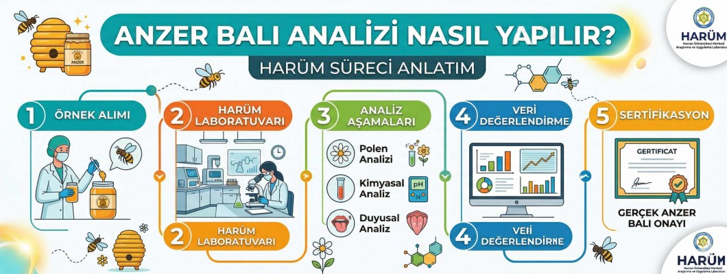Anzer Balı Analizi Nasıl Yapılır? HARÜM Süreci Detaylı Anlatım
