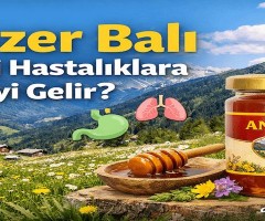 Anzer Balı Hangi Hastalıklara İyi Gelir? Doğal Şifa Kaynağı Anzer Balı