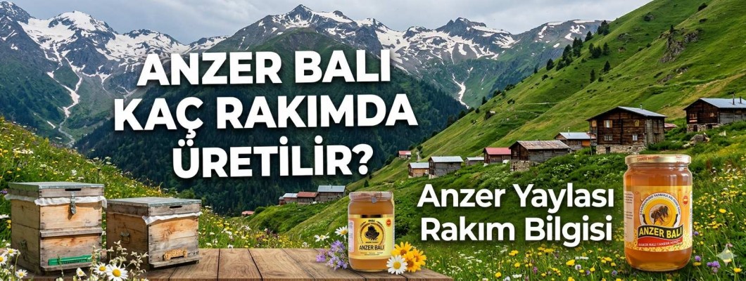 Anzer Balı Kaç Rakımda Üretilir? | Anzer Yaylası Rakım Bilgisi