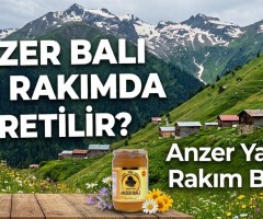 Anzer Balı Kaç Rakımda Üretilir? | Anzer Yaylası Rakım Bilgisi