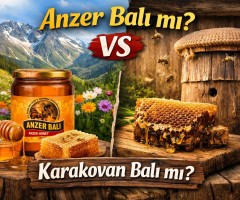 Anzer Balı mı Karakovan Balı mı? Farkları, Faydaları ve Hangisi Daha İyi?