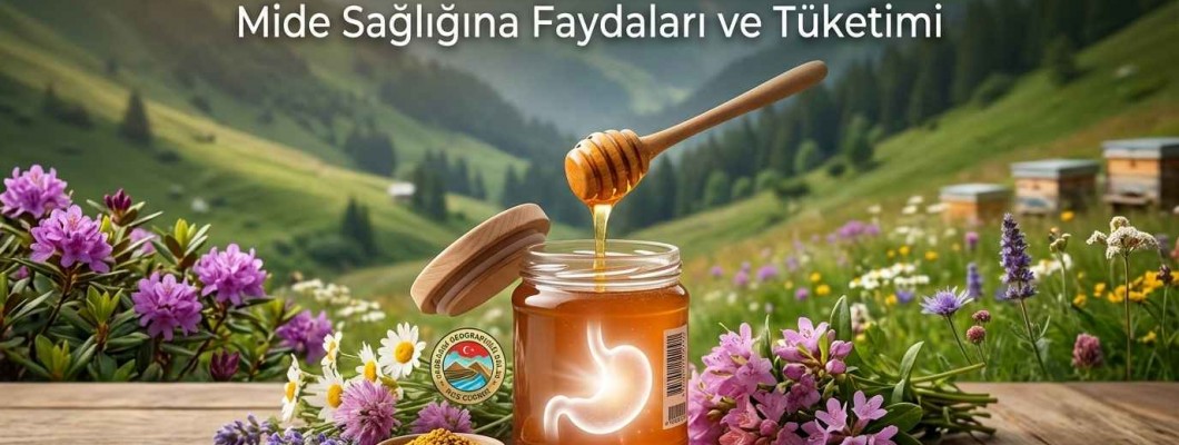 Anzer Balı Mideye İyi Gelir mi? Mide Sağlığına Faydaları ve Tüketimi
