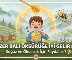 Anzer Balı Öksürüğe İyi Gelir mi? Boğaz ve Öksürük İçin Faydaları