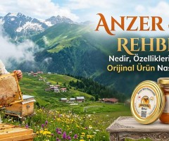 Anzer Yaylasında Üretilen Balın Özellikleri ve Üretim Süreci