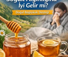 Anzer Balı Soğuk Algınlığına İyi Gelir mi? Doğal Bağışıklık Desteği