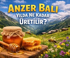Anzer Balı Yılda Ne Kadar Üretilir? Gerçek Üretim Miktarı 2025 Verileri