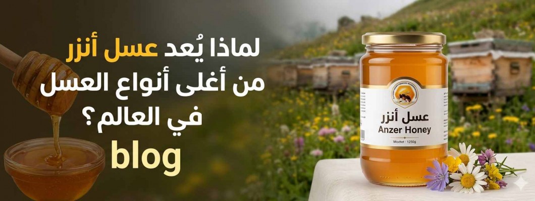 لماذا يُعد عسل أنزر من أغلى أنواع العسل في العالم؟
