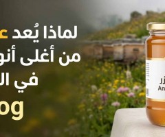 لماذا يُعد عسل أنزر من أغلى أنواع العسل في العالم؟