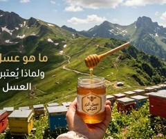 ما هو عسل أنزر التركي؟ ولماذا يُعتبر من أندر أنواع العسل في العالم؟