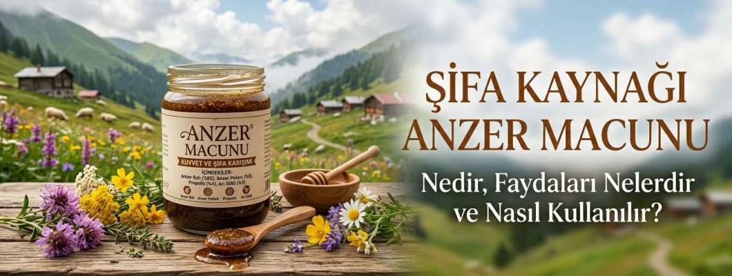 Şifa Kaynağı Anzer Macunu: Nedir, Faydaları Nelerdir ve Nasıl Kullanılır?