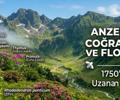 Anzer Vadisi Coğrafi Sınırları ve 500+ Çeşit Çiçek Florası