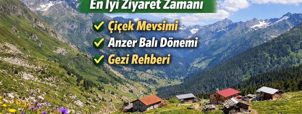 Anzer Yaylası Ne Zaman Gidilir? En İyi Ziyaret Zamanı ve Gezi Rehberi