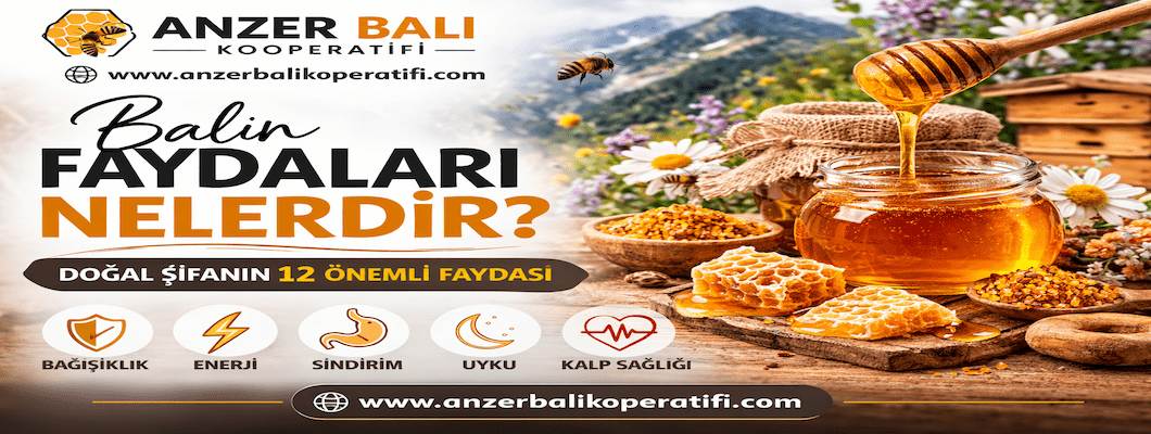 Balın Faydaları Nelerdir? Doğal Balın Sağlığa 12 Önemli Faydası