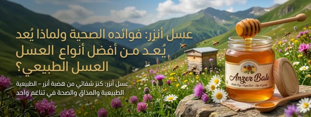 فوائد عسل أنزر التركي للصحة ولماذا يُعد من أفضل أنواع العسل الطبيعي؟