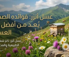 فوائد عسل أنزر التركي للصحة ولماذا يُعد من أفضل أنواع العسل الطبيعي؟