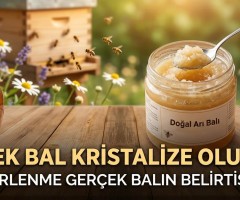 Gerçek Bal Kristalize Olur Mu? | Şekerlenme Gerçek Balın Belirtisi mi?
