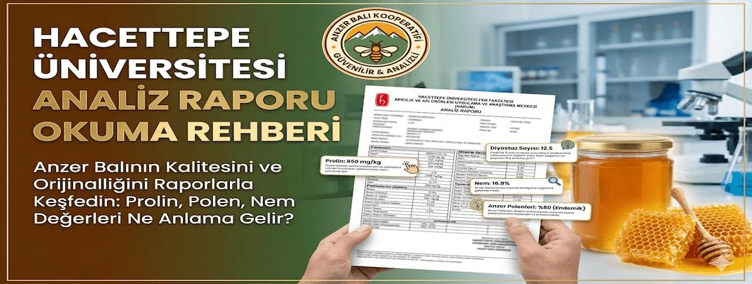 Ankara Hacettepe Üniversitesi Analiz Raporu Okuma Rehberi | Anzer Balı Analizi Nasıl Yorumlanır?