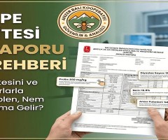 Ankara Hacettepe Üniversitesi Analiz Raporu Okuma Rehberi | Anzer Balı Analizi Nasıl Yorumlanır?