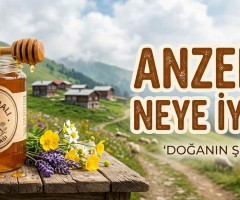 Anzer Balı Neye İyi Gelir?