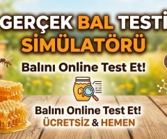 Gerçek Bal Testi Simulatoru | Balını Online Test Et