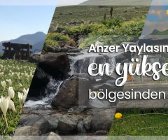 Anzer Balı Satış  Kooperatifi